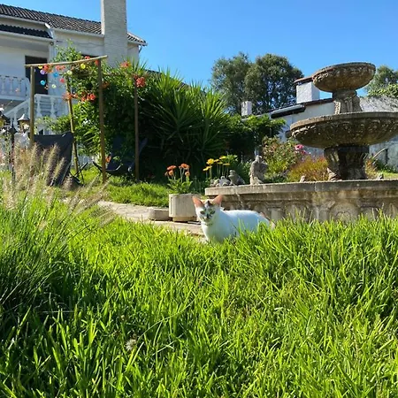 Casa Da Rosa, Com Piscina Privada *