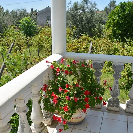 Casa Da Rosa, Com Piscina Privada Villa *