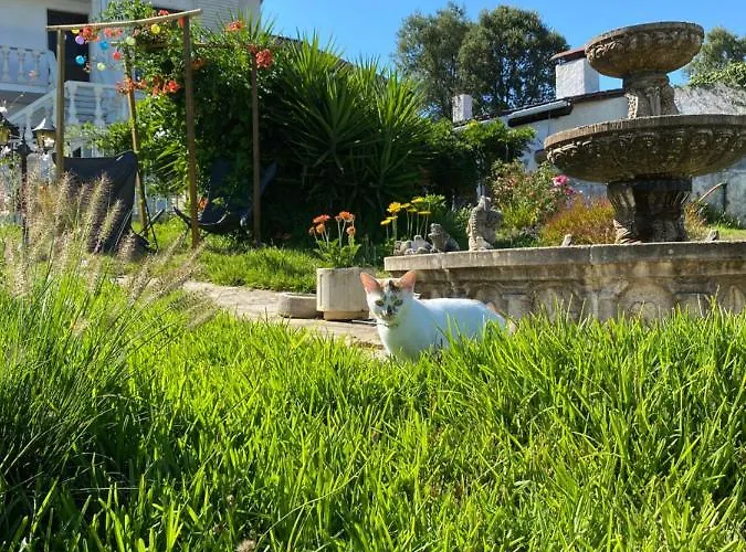 Casa Da Rosa, Com Piscina Privada *
